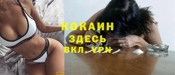 индика Касимов