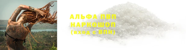 наркотики Карпинск