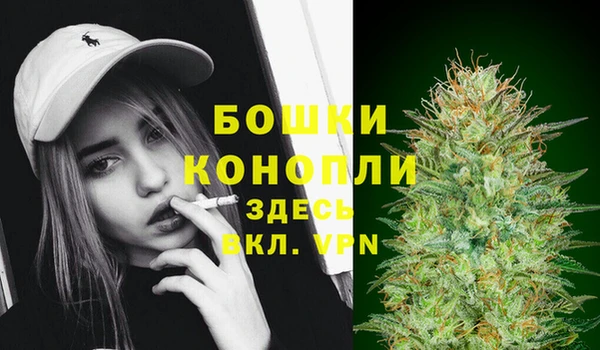 тгк Каменногорск