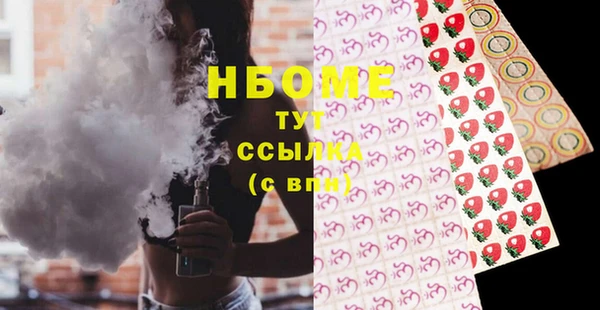 индика Касимов