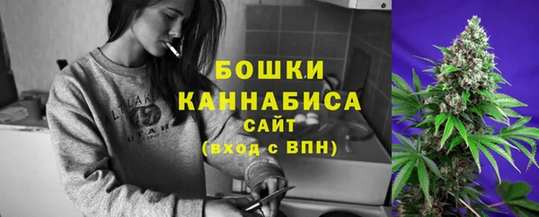 тгк Каменногорск