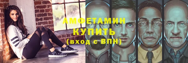 индика Касимов