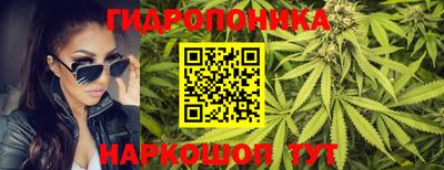 каннабис Гусь-Хрустальный